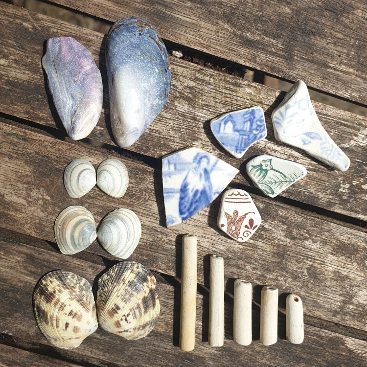 Bits of found treasure. Shells, old pottery, claypipe