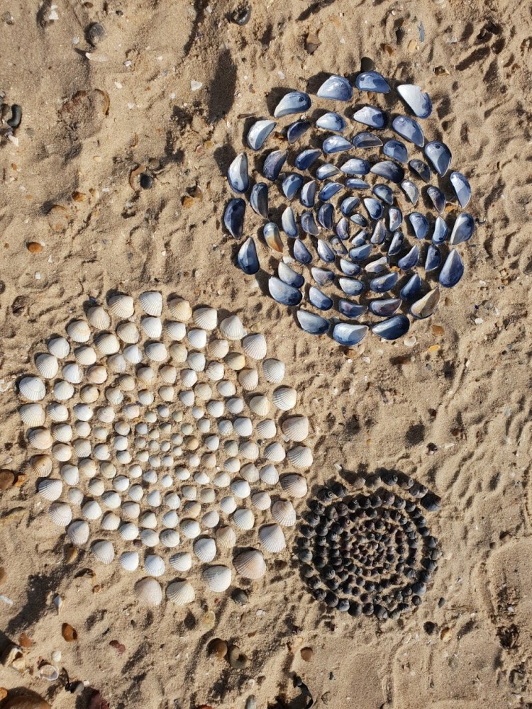 Spirals of shells on sand