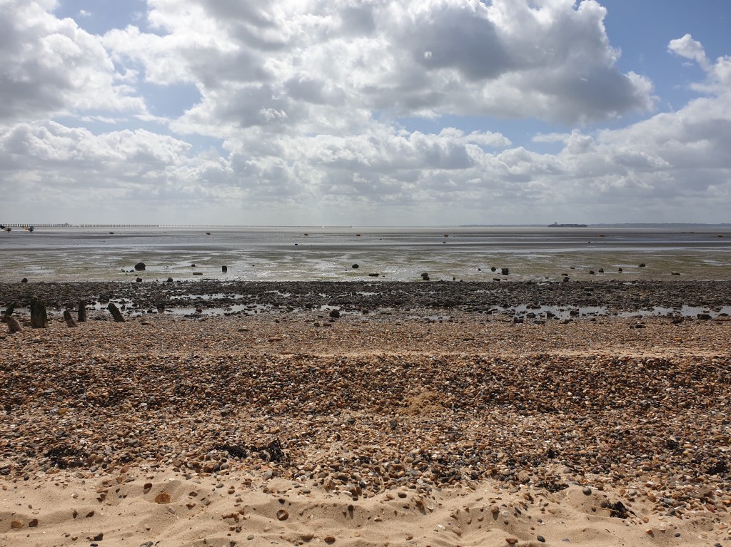 mudflats at Shoeburyness. Palette of bronze, brown, gold